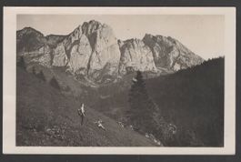 BERGABSTIEG auf steiler Wiese, wo ? 1935 top Frankatur    (R