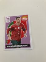 Image panini sticker 2026