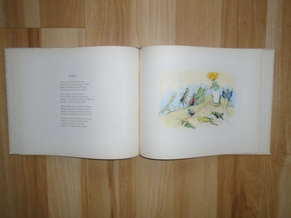Libri: Alpenblumenmärchen E. Kreidolf 1953 – Usato da Binningen venduto da blackhorse08 3