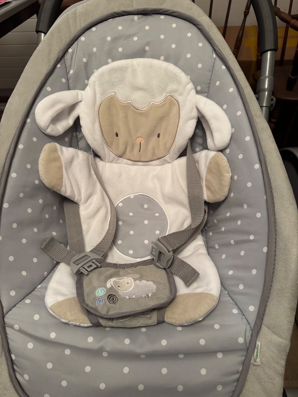 Sdraiette & Sdraiette a dondolo: ingenuity Babywippe »Cuddle Lamb« – Usato da Menziken venduto da a-m-y 3