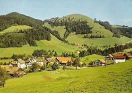 WALD OBERHOLZ Gasthaus Kantonsgrenze - Fam. Oberholzer
