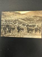 Gebirgsartillerie beim Aufstieg