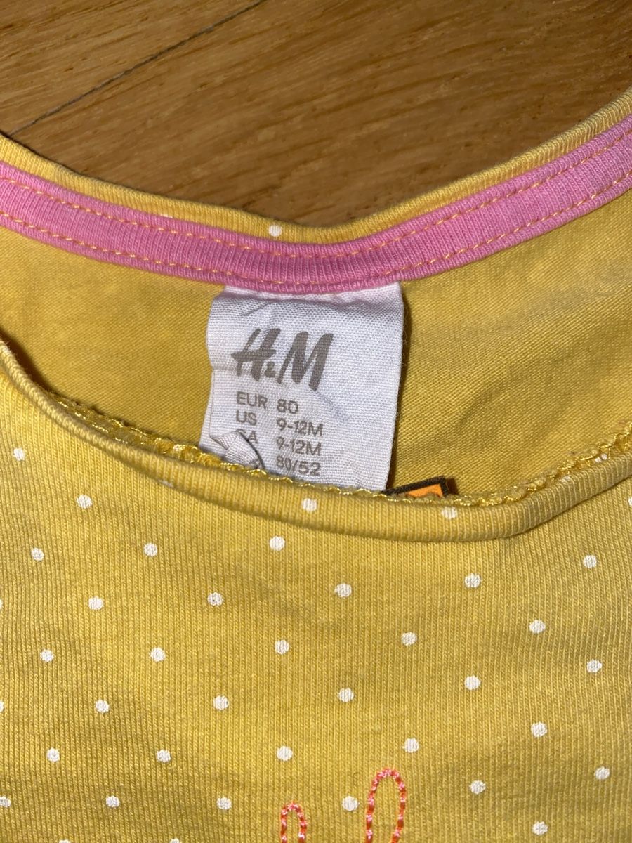 Camicie, Top & T-shirt: T-Shirt Gr. 80 – Usato da Bern venduto da Elisa64 1