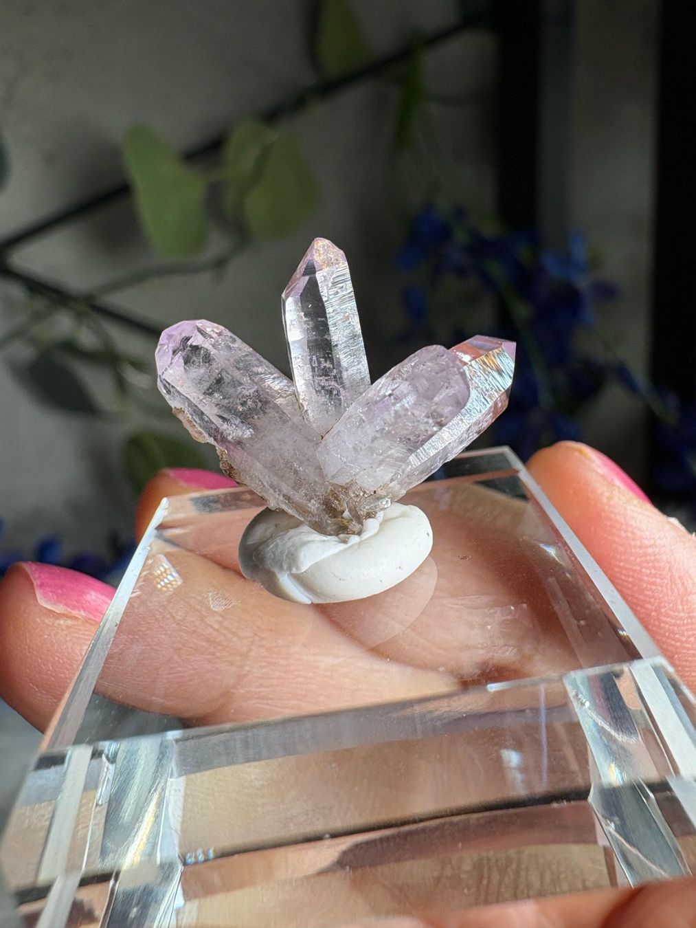Pietre preziose: Veracruz Amethyst – Nuovo (secondo la descrizione) da Neuheim venduto da m.hald 2