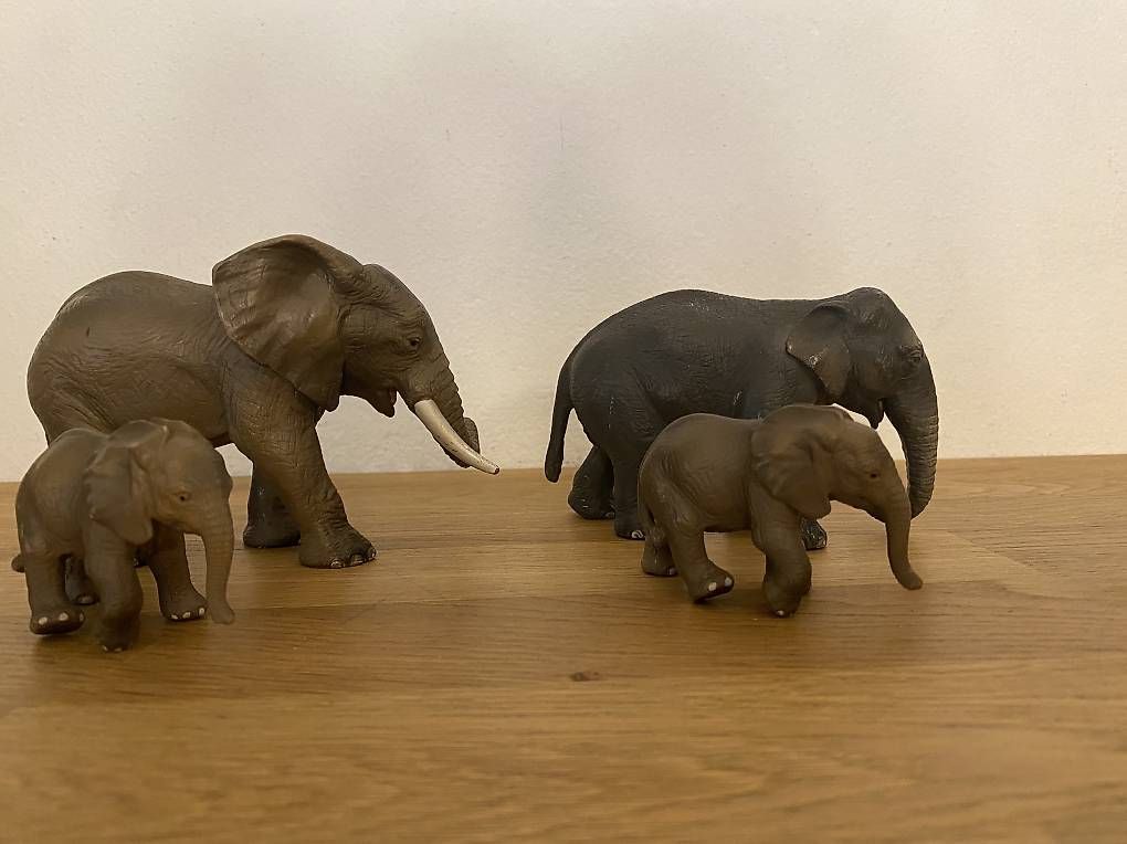 Schleich Spielzeuge: Schleich Elefanten – Gebraucht aus Stettfurt von noesch5 1