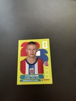 Panini WM2026 Erling Haaland