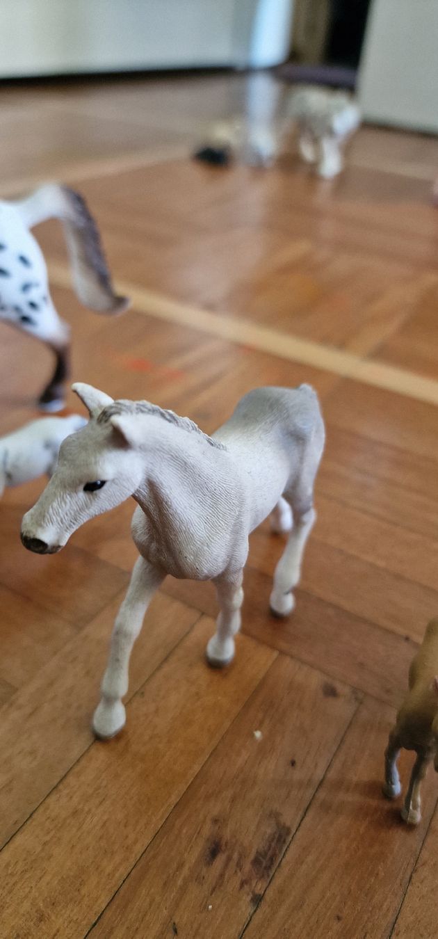 Schleich Spielzeuge: Schleichtiere – Neu (gemäss Beschreibung) aus Wallisellen von sugon 3