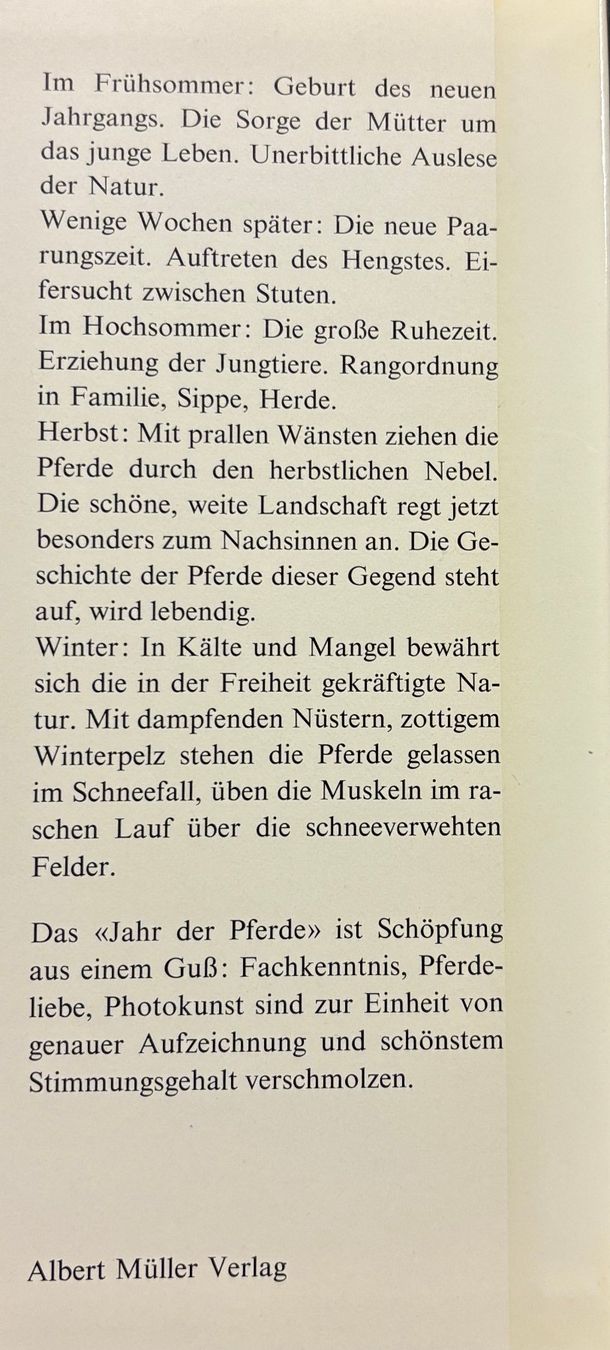 Libri: Ursula Bruns, Das Jahr der Pferde – Nuovo (secondo la descrizione) da Sarnen venduto da Livres 3