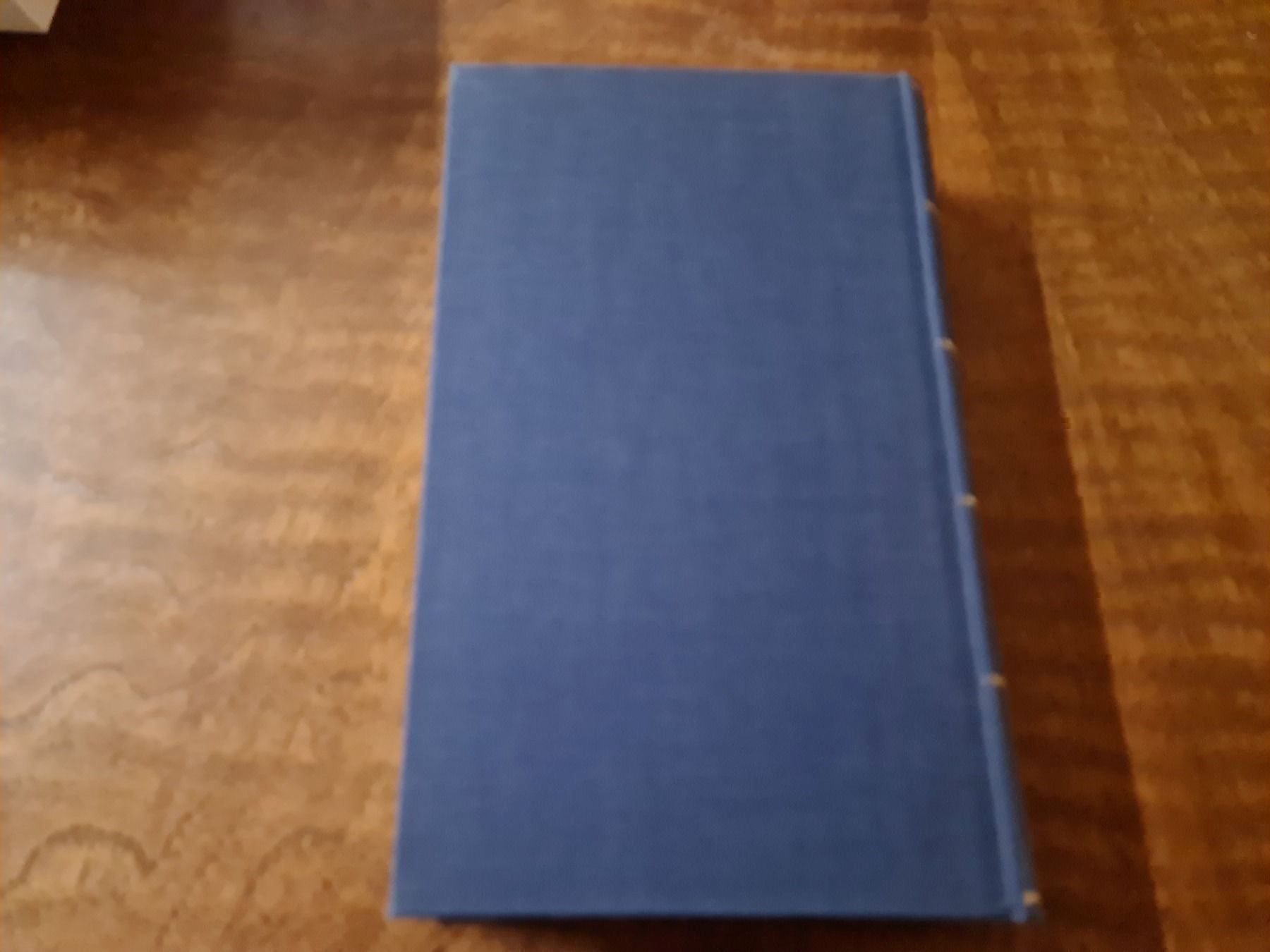 Libri: Die Rittmeisterin – Usato da Erstfeld venduto da Uhu1980 4