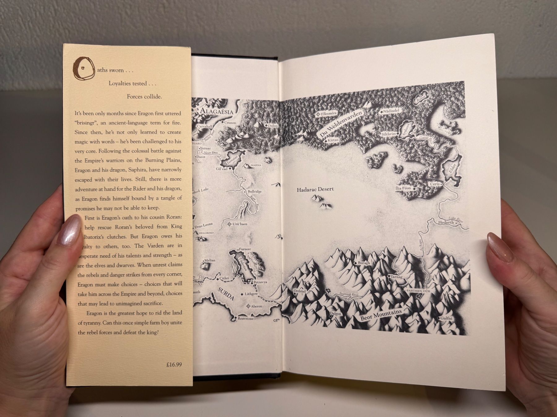 Libri: NOVEL: Christopher Paolini, Brisinger – Usato da Grosswangen venduto da English_books 2