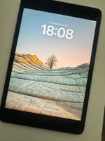 ipad mini 5 (2019) 256 GB (iPadOS 26.5)