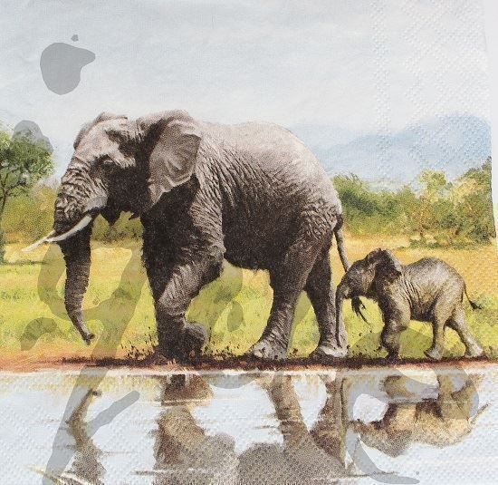 Servietten: Serviette elefant (1024) 2Stk. – Neu (gemäss Beschreibung) aus Schlatt TG von kreativ-atelier