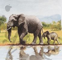 Serviette elefant (1024) 2Stk.