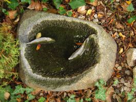 Vogeltränke Vogelbad