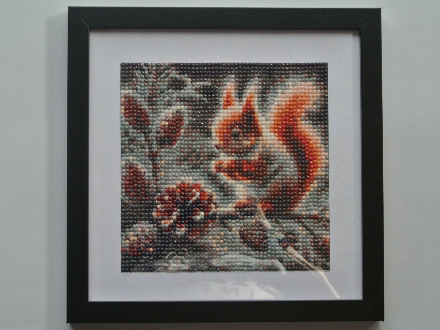 Foto & Immagini: Diamant Malerei Eichhörnchen Bild mit Ramen 30x30 cm – Nuovo (secondo la descrizione) da Plaffeien venduto da Boxerranche