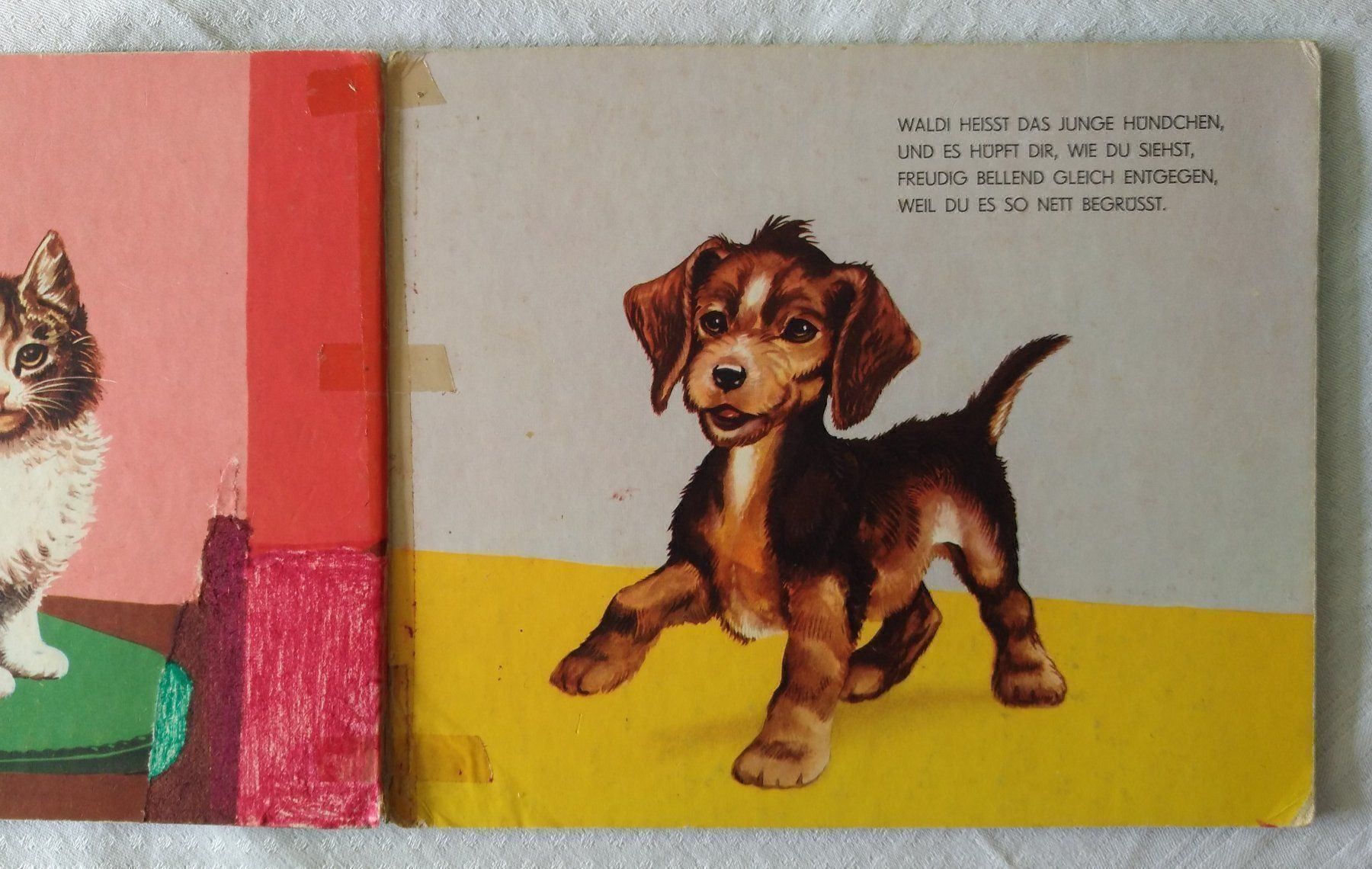 Libri: Junge Tiere - Kinderbuch 50er Jahre – Usato da Chur venduto da rh86424 1