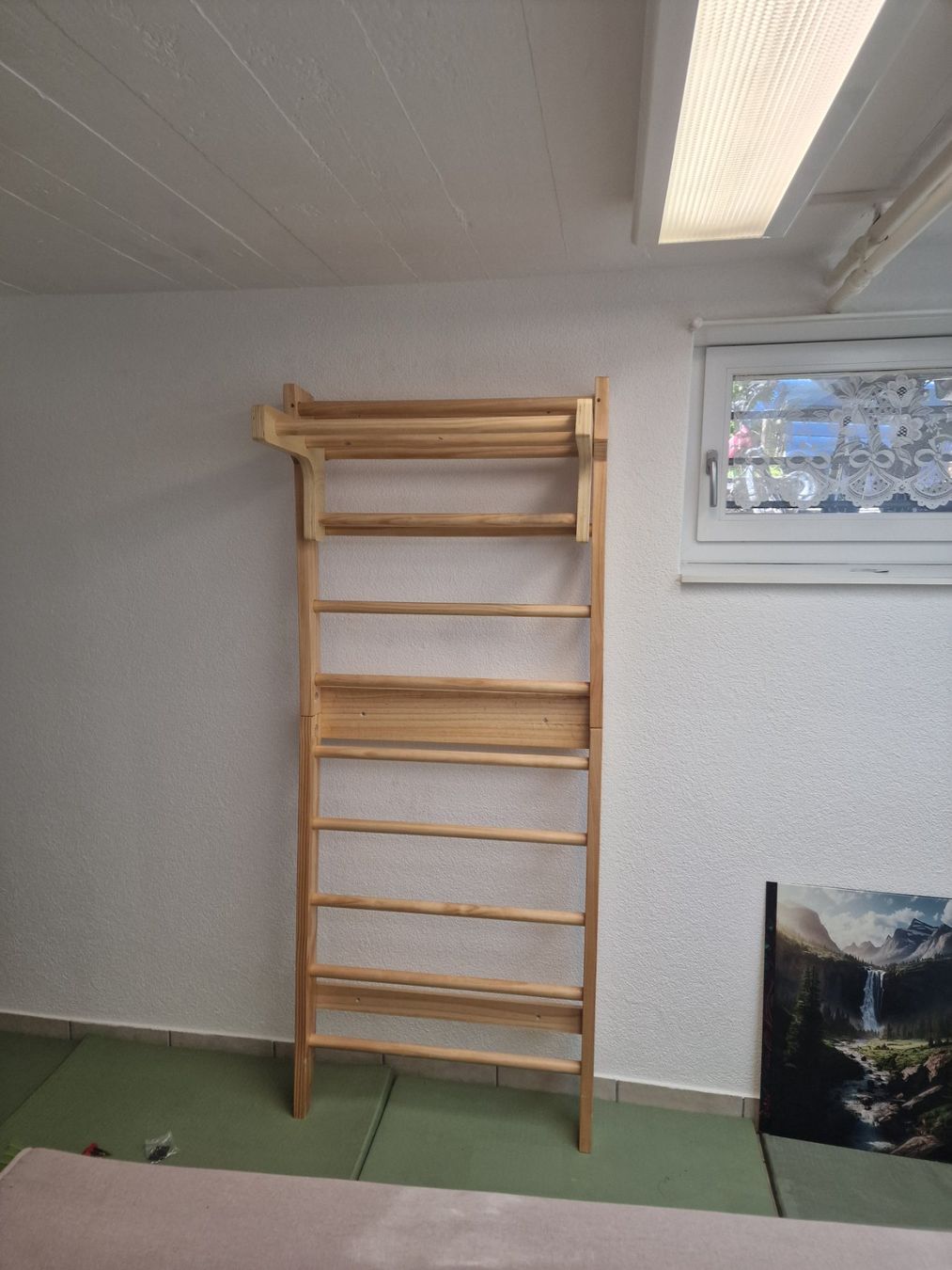 Hometrainer: Sprossenwand mit Klimmzugaufsatz – Usato da Bern venduto da AdorableGerbil