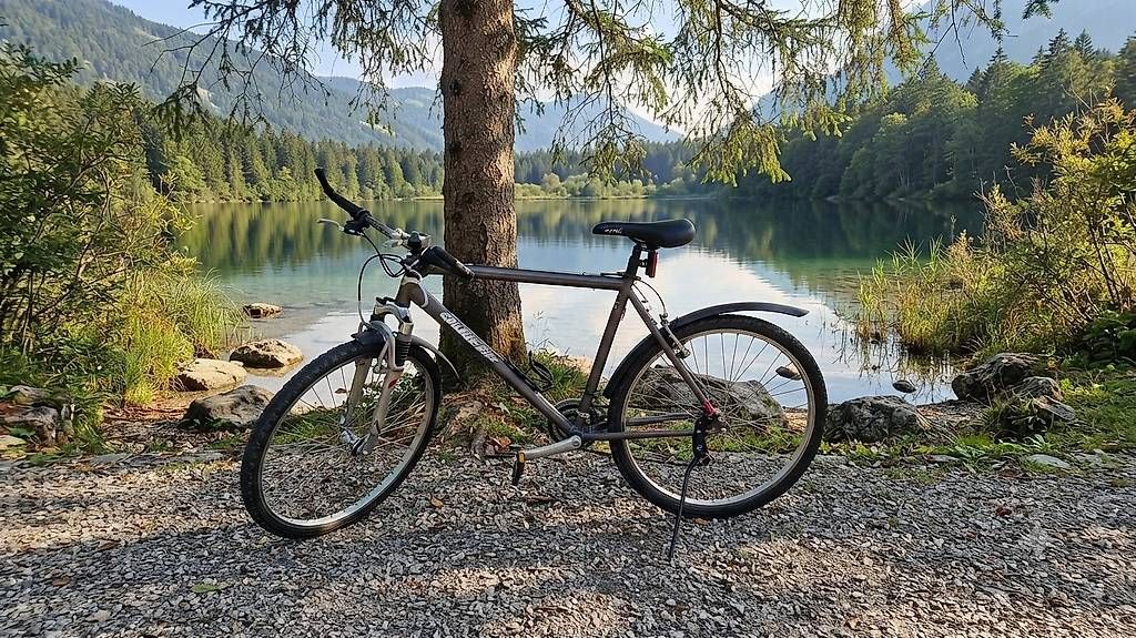 Velos: Velo Gallus – Gebraucht aus Pfäffikon SZ von Milu88