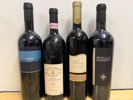 4 Fl. Rotwein Italien Milia, Vino Nobile, Salice, Stella...