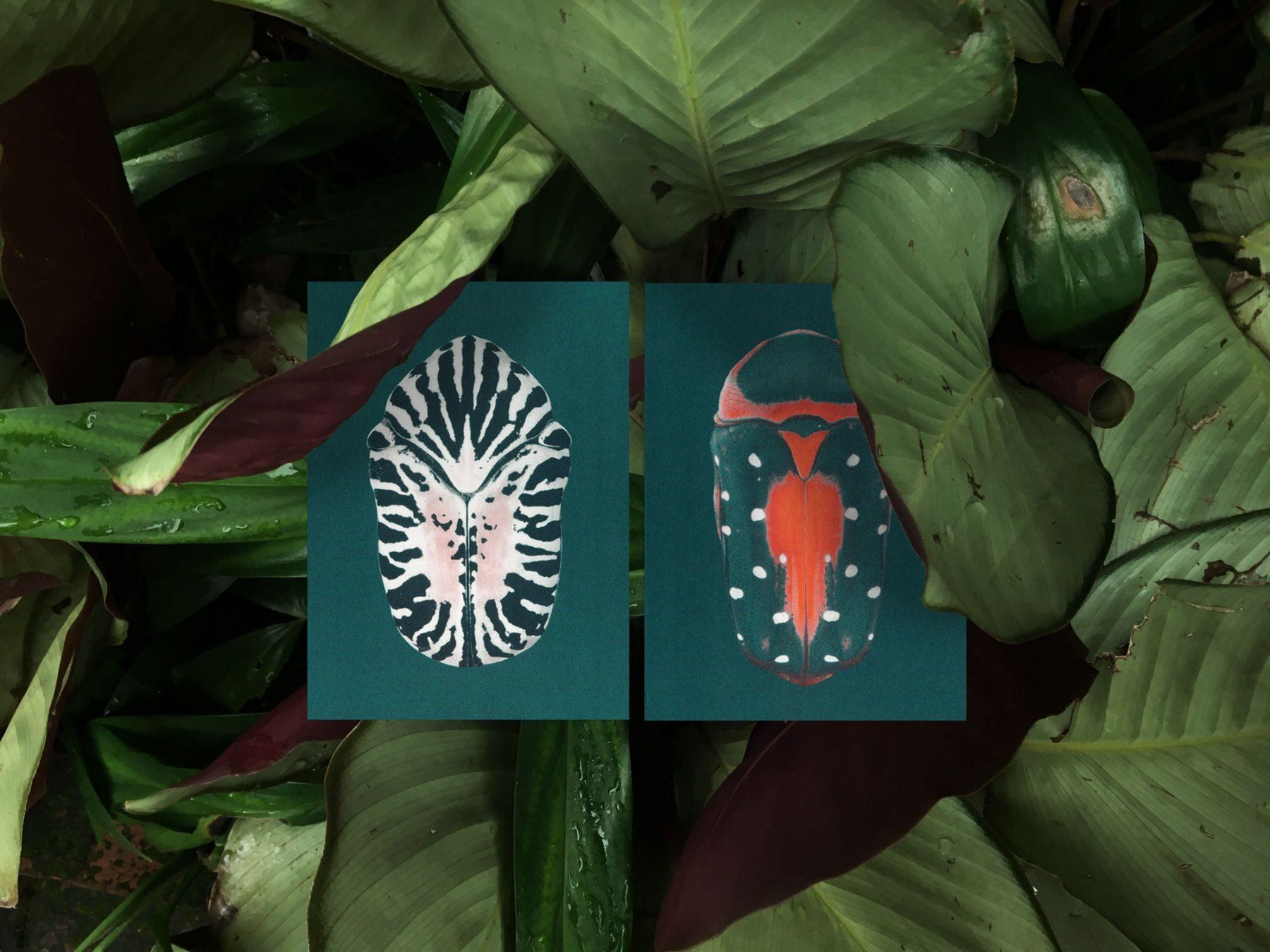 Cartoline: N° 9 Iridescence – Nuovo e nell'imballaggio originale da Zürich venduto da BienvenueStudios 2