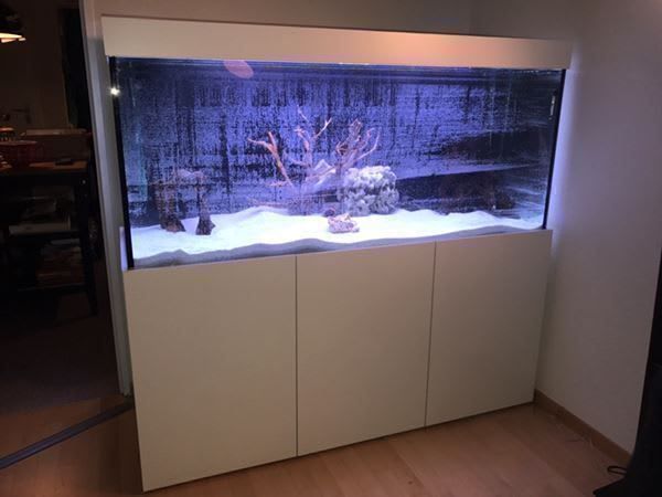 Acquari: 150x50x60 – Nuovo (secondo la descrizione) da Berikon venduto da fischundart