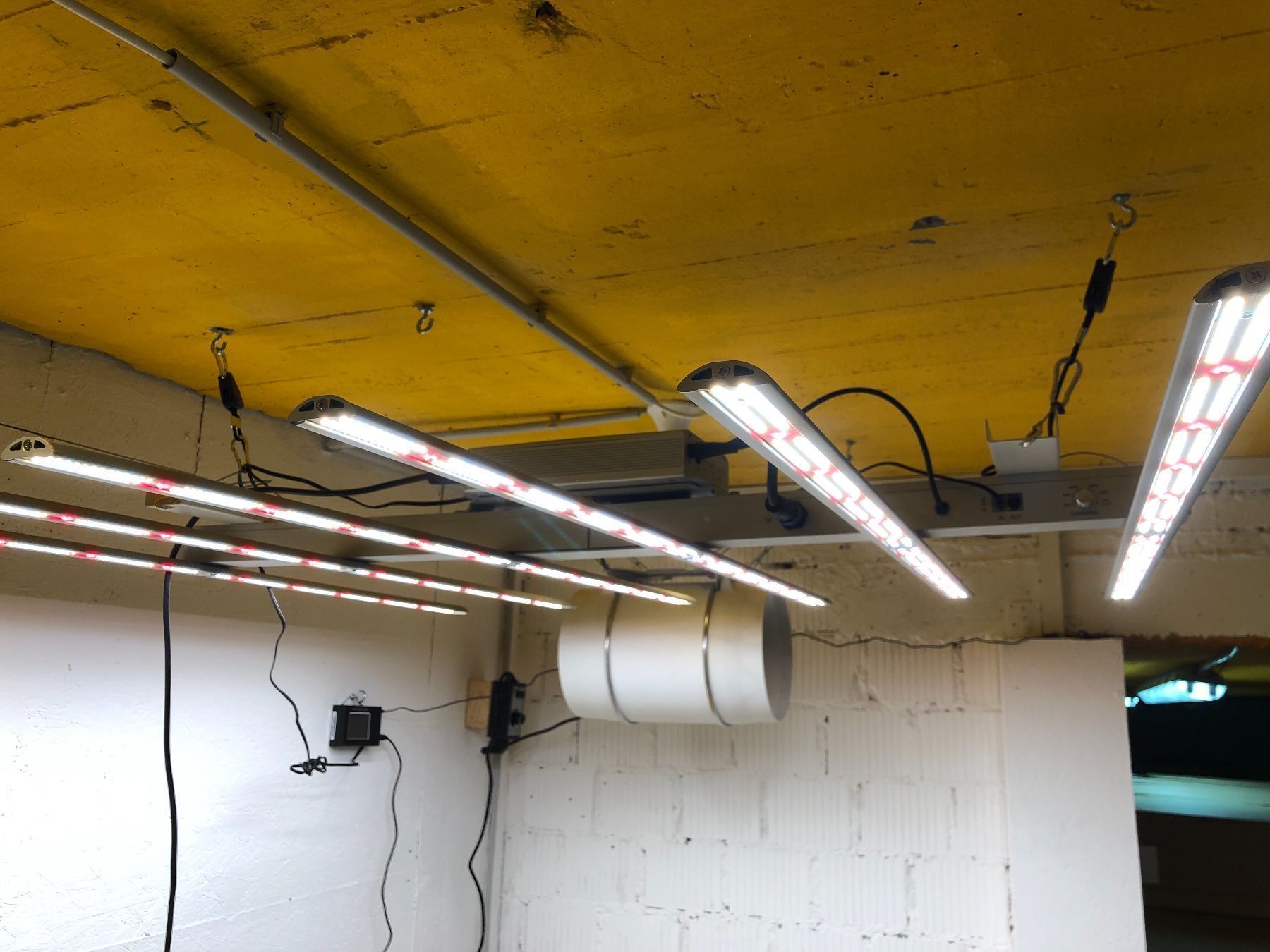 Lampade: LED Growlampe 600W / Dimmbar – Nuovo e nell'imballaggio originale da Hüntwangen venduto da 8006 2