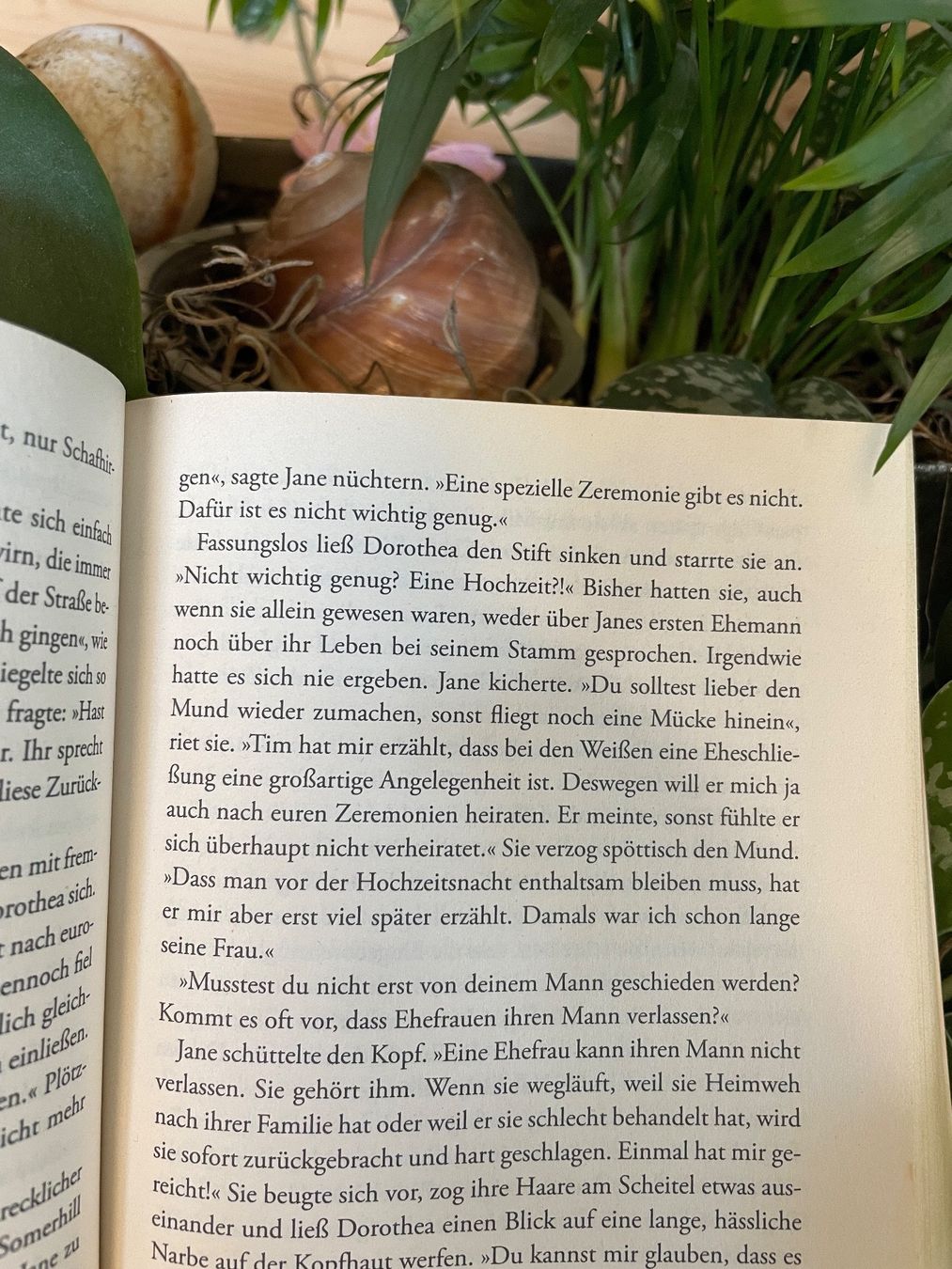 Bücher: Susan Peterson: Wenn der Eukalyptus blüht – Gebraucht aus Emmenbrücke von Ladyboutique 2