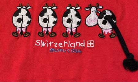Switzerland T-Shirt Gr. 152
