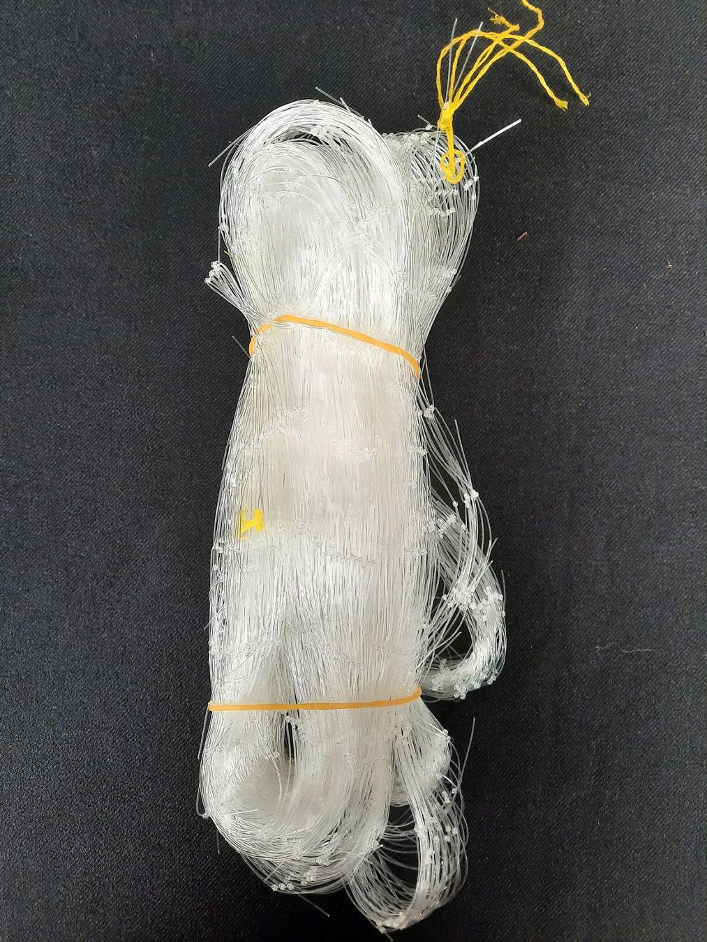 Gabbie, trasporto & Sicurezza: KARLIE Transparent Katzennetz – Nuovo (secondo la descrizione) da Beinwil am See venduto da Restwert_Beinwil 3