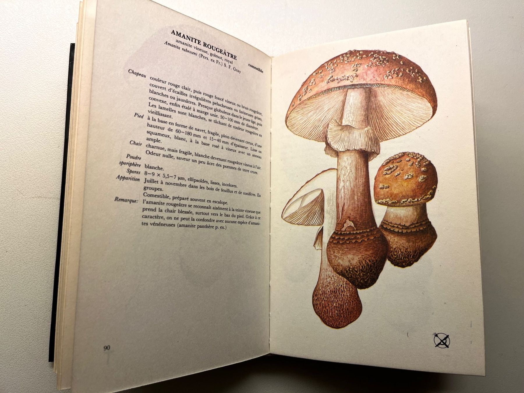 Libri: Les Champignon von Aurel Dermek – Usato da Laufen venduto da Nuria44 7