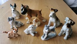 Porzellan Hundefigur Sammlung 8 Hunde und 1 Katze Top Zustan