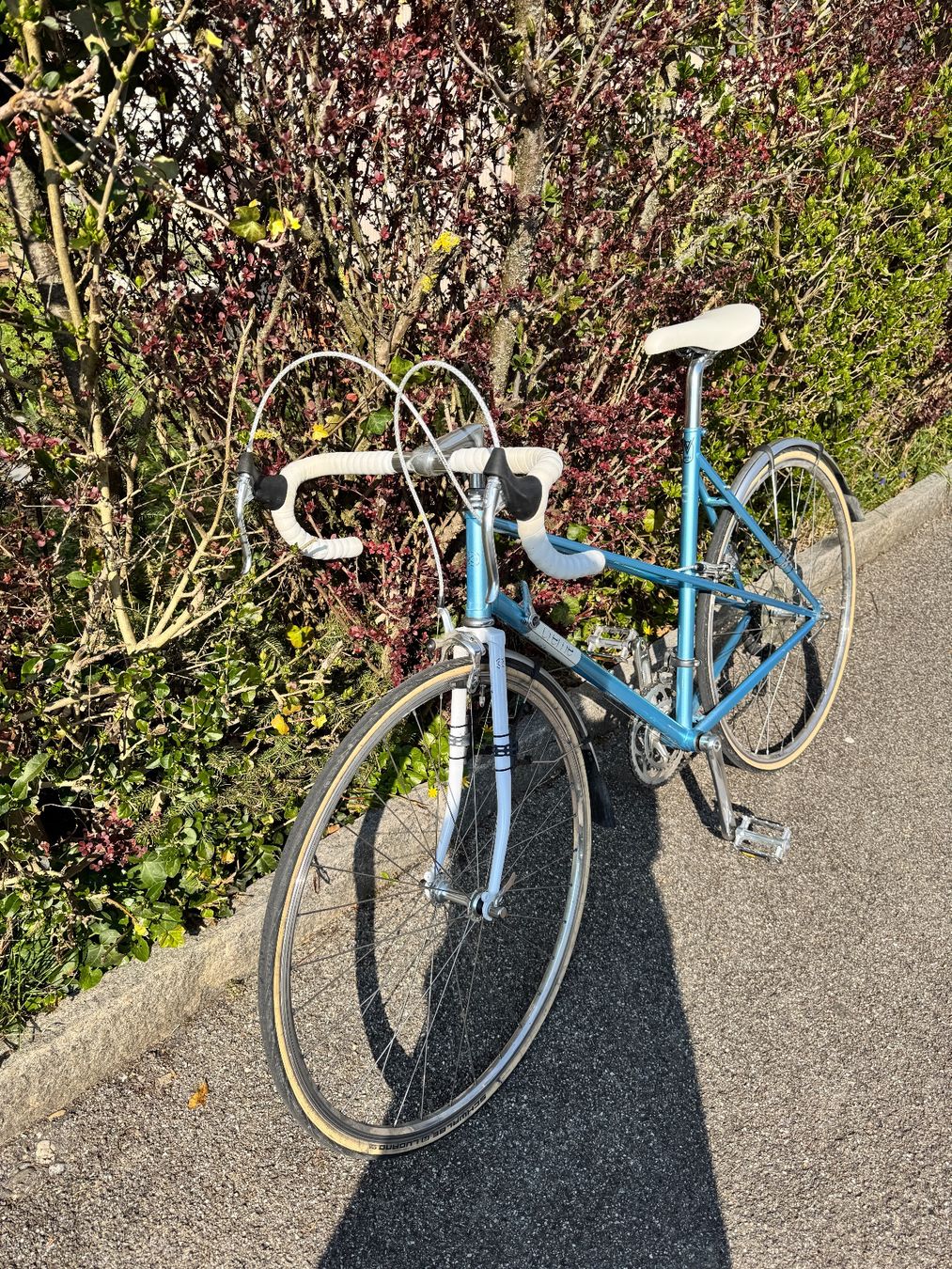 Biciclette: City Renner – Usato da Port venduto da Ellebasisch 1