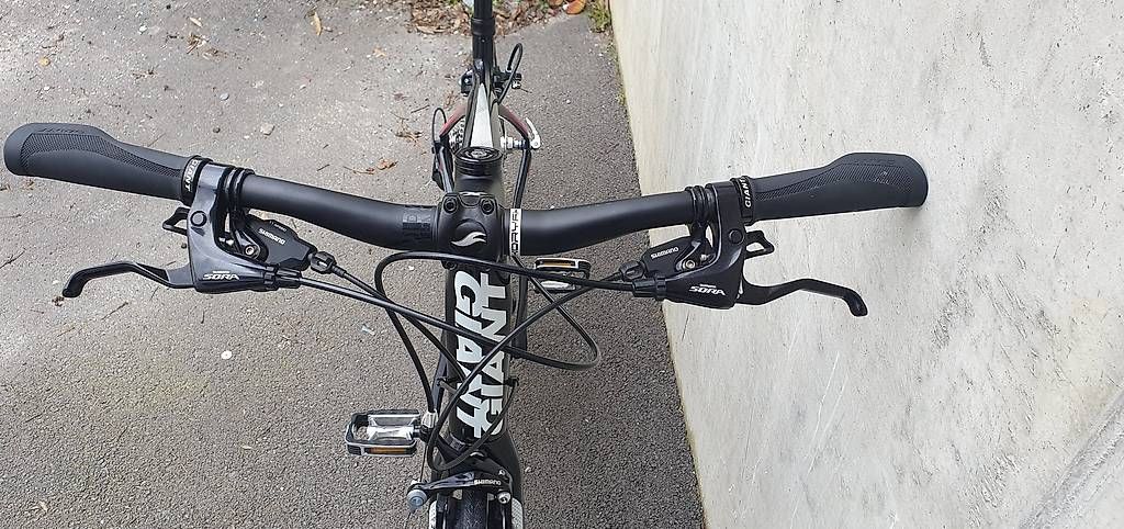 Biciclette: Giant Avail Liv carbone M Compact – Usato da Chamoson venduto da mas_f2tv