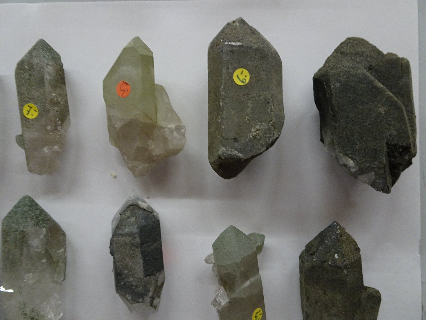 Minerali & Pietre curative: 23 Rauchquarze mit Clorit  Val Nalps – Nuovo (secondo la descrizione) da martina venduto da Tignuppa 3