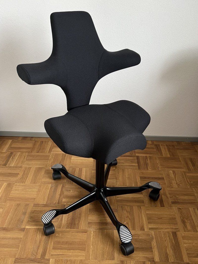 Håg Stühle: HAG Capisco 8106 XTREME schwarz – Gebraucht aus Zürich von JBounceF 1