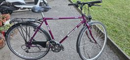 weheeler velo
