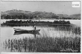 Zürichsee - Insel Ufenau mit Rapperswil