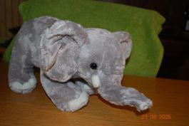Elefant