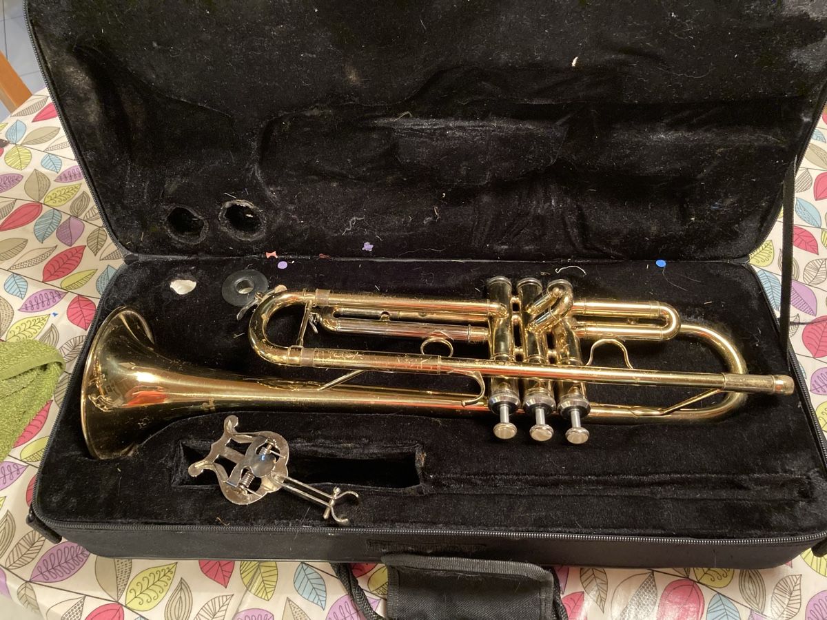 Instruments de musique: Tromba fred williams usata – D'occasion à Bodio par ste_wg29