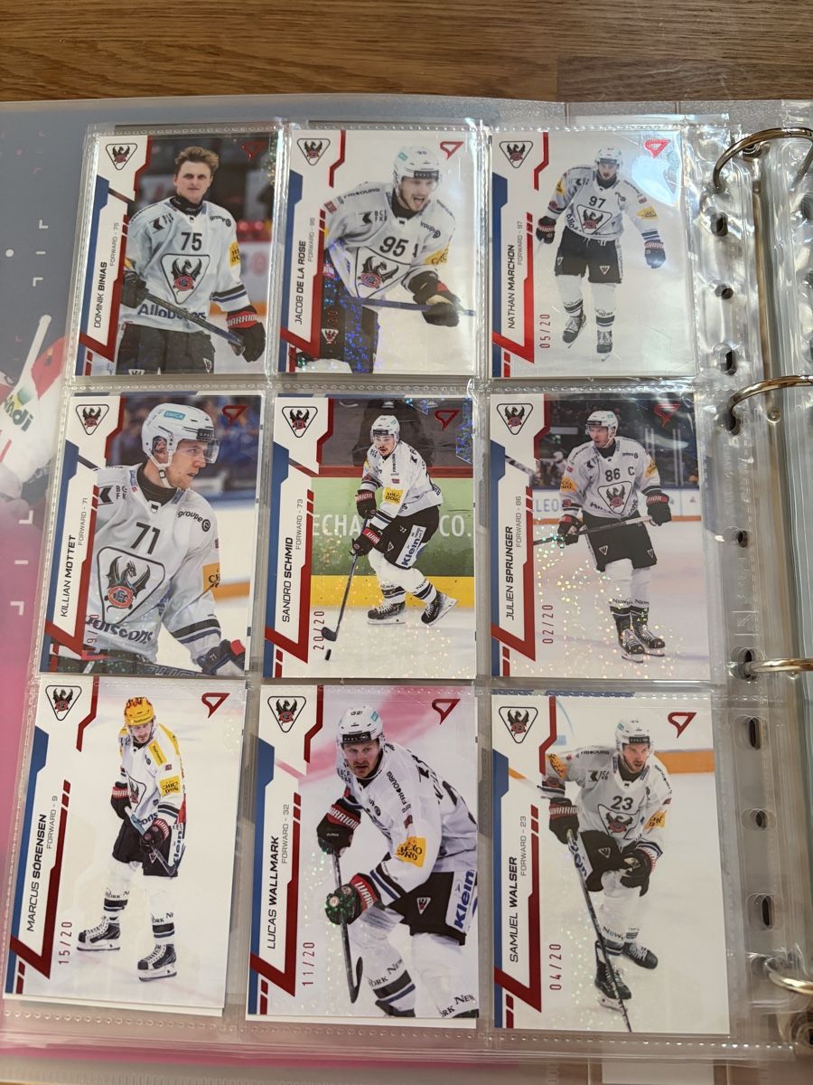 Sportzoo Carte collezionabili: Fribourg Gotteron /20 Kommplettset Sportzoo – Nuovo (secondo la descrizione) da Murten venduto da Hockeyfan82 1