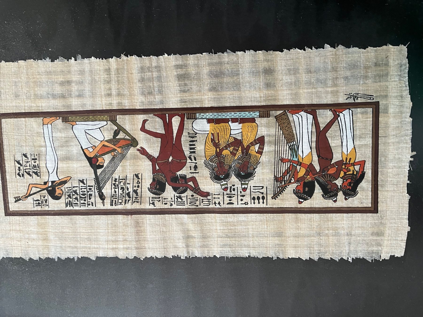 Dipinti: Papyrus neuf – Usato da Veyrier venduto da kimedovapa