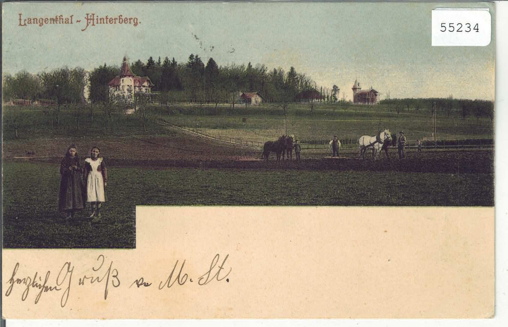 Cartoline postali: Langenthal - Hinterberg - animee - coloriert – Usato da Ettingen venduto da Kartenplanet