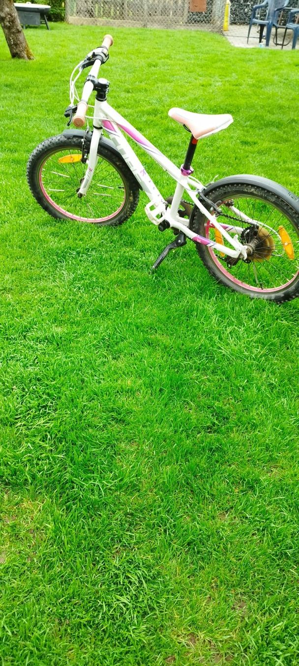 Cube Biciclette: Kinder Velo  Cube 20 Zoll – Usato da Bernhardzell venduto da tom17585 3