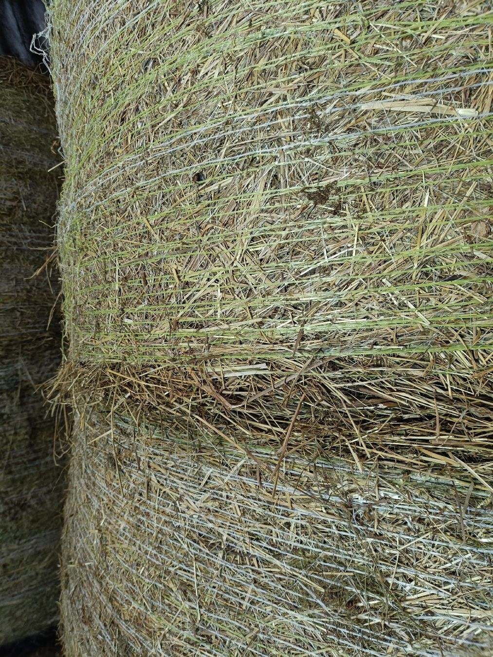 Futter: Ökoheuballen – Neu und originalverpackt aus Adlikon von hug_p6f6 1