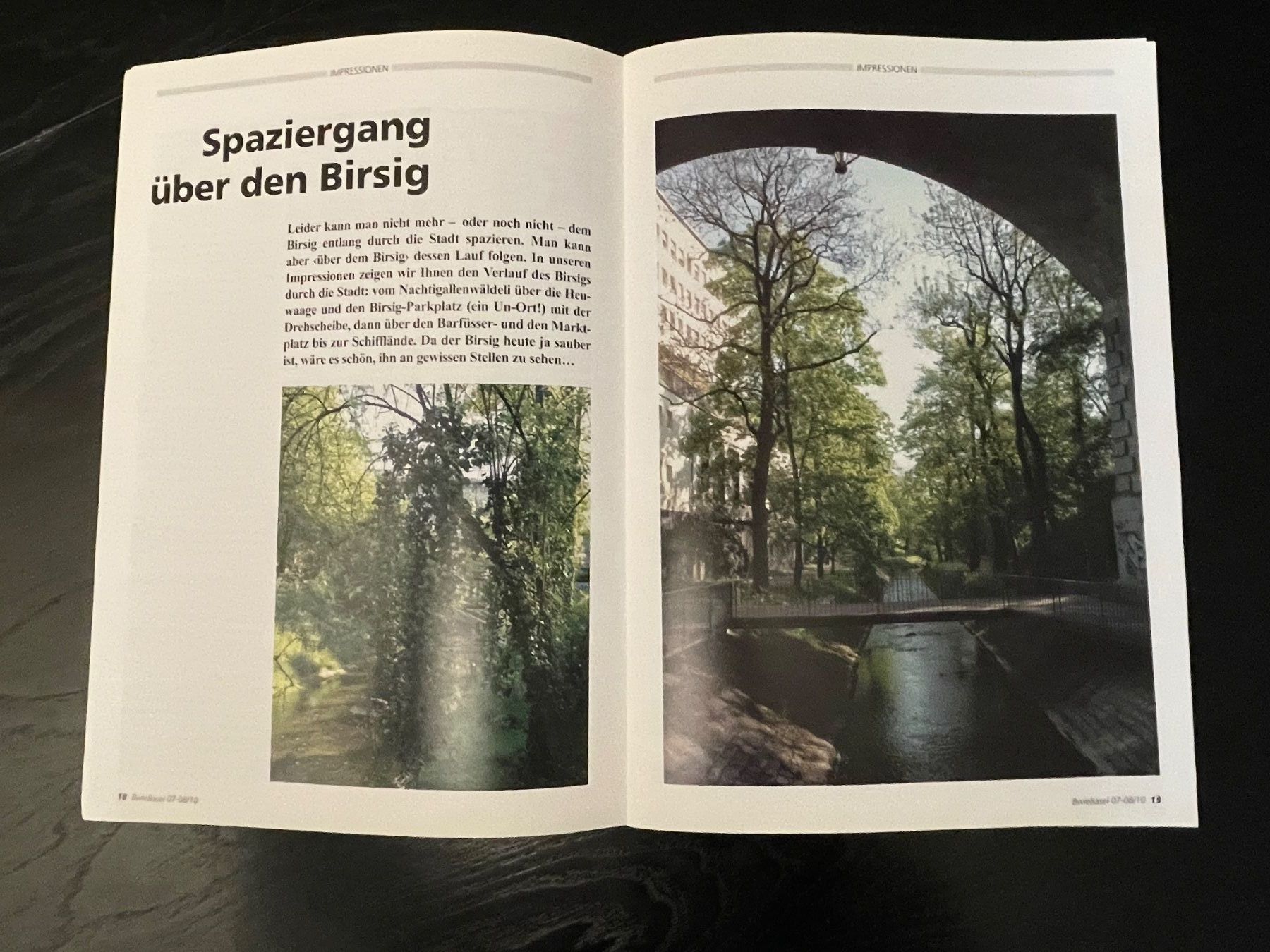 Riviste & Magazine: B wie Basel, 2010, Basel und der Birsig – Usato da Binningen venduto da Raymanfisch 2