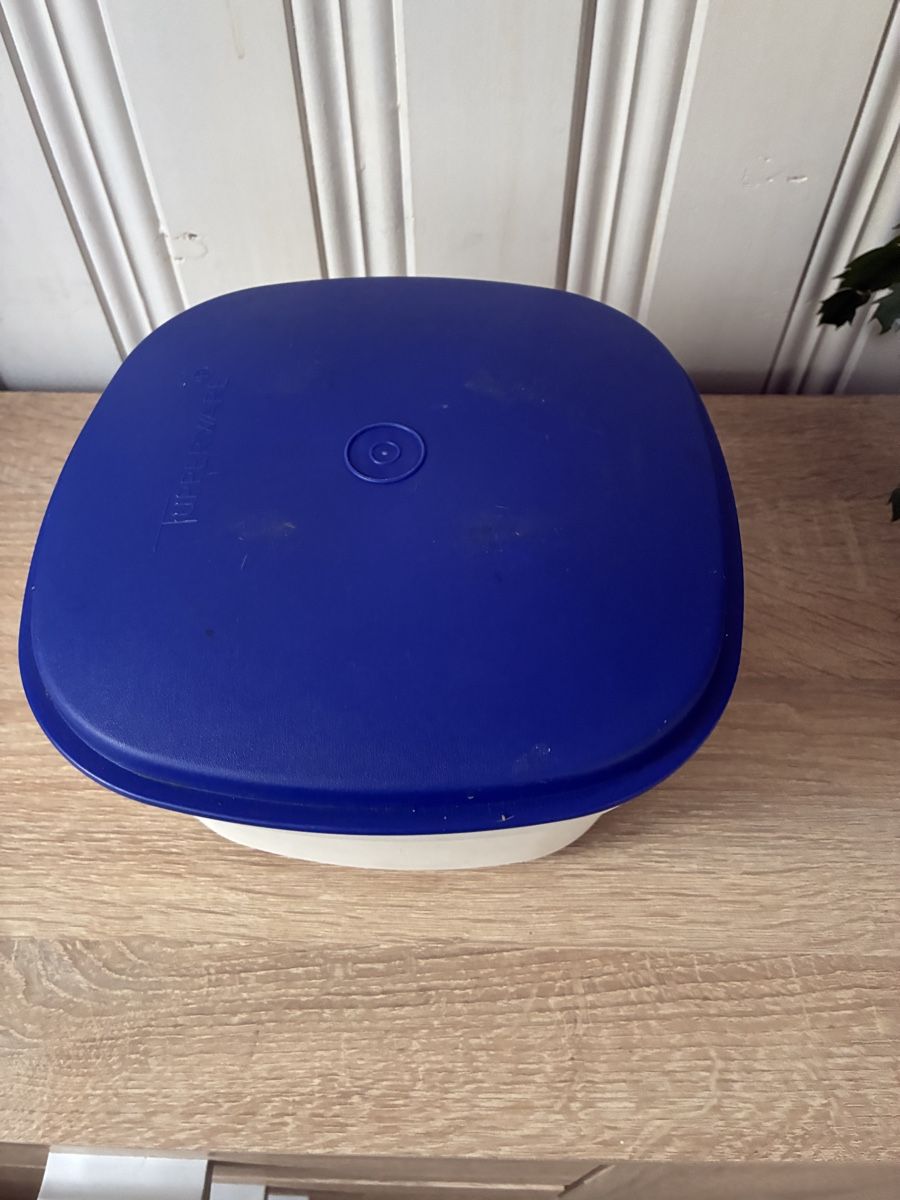 Tupperware Altro in Decorazioni & Accessori: Boîte à salade Tupperware blanc bleu état correct – Usato da Beuson (Nendaz) venduto da Pinkfloyd71