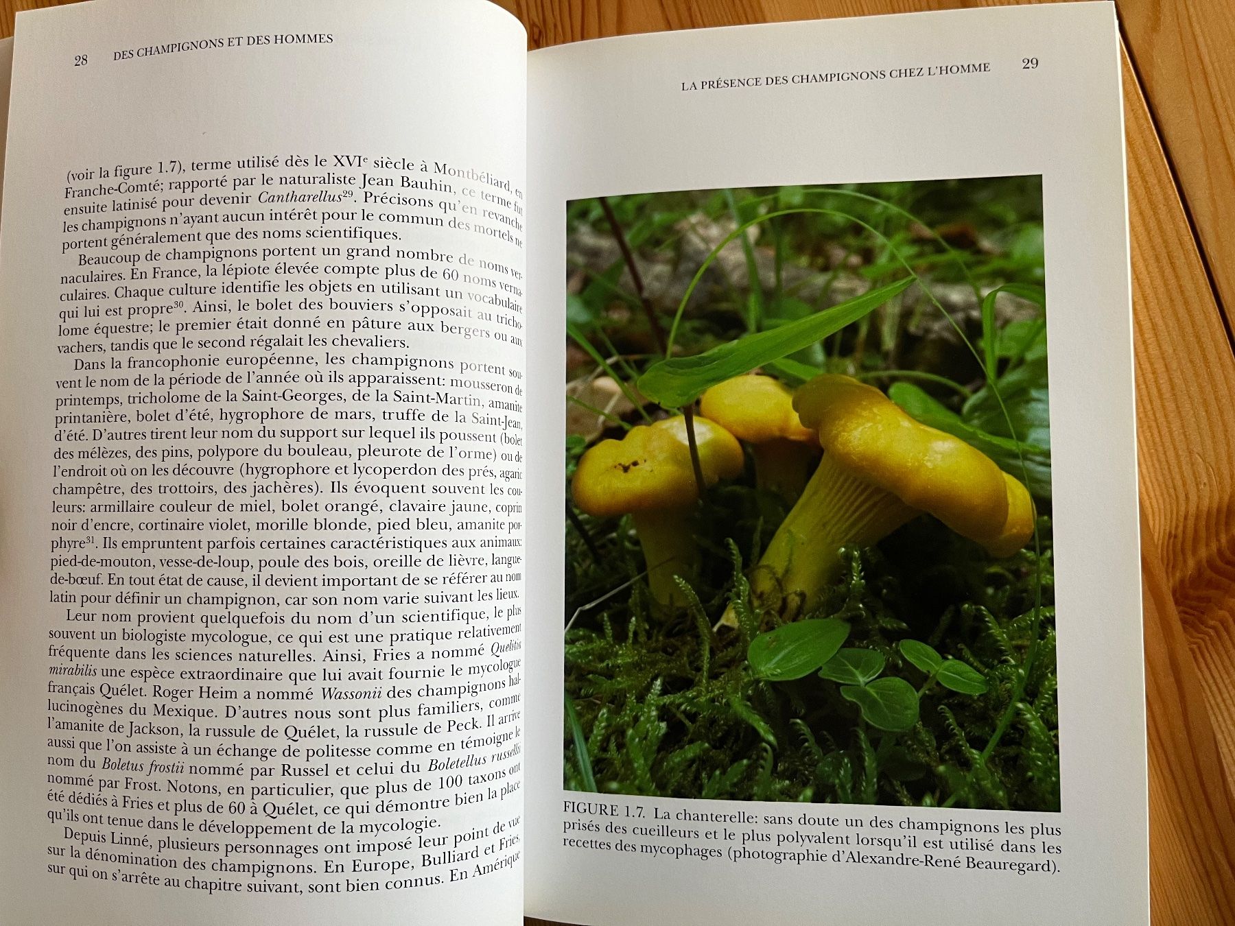 Libri: Des champignons et des hommes – Nuovo (secondo la descrizione) da Zürich venduto da Gurkis 3