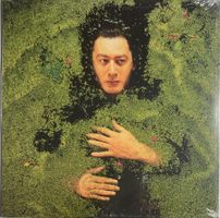 ALAIN BASHUNG - FANTAISIE MILITAIRE