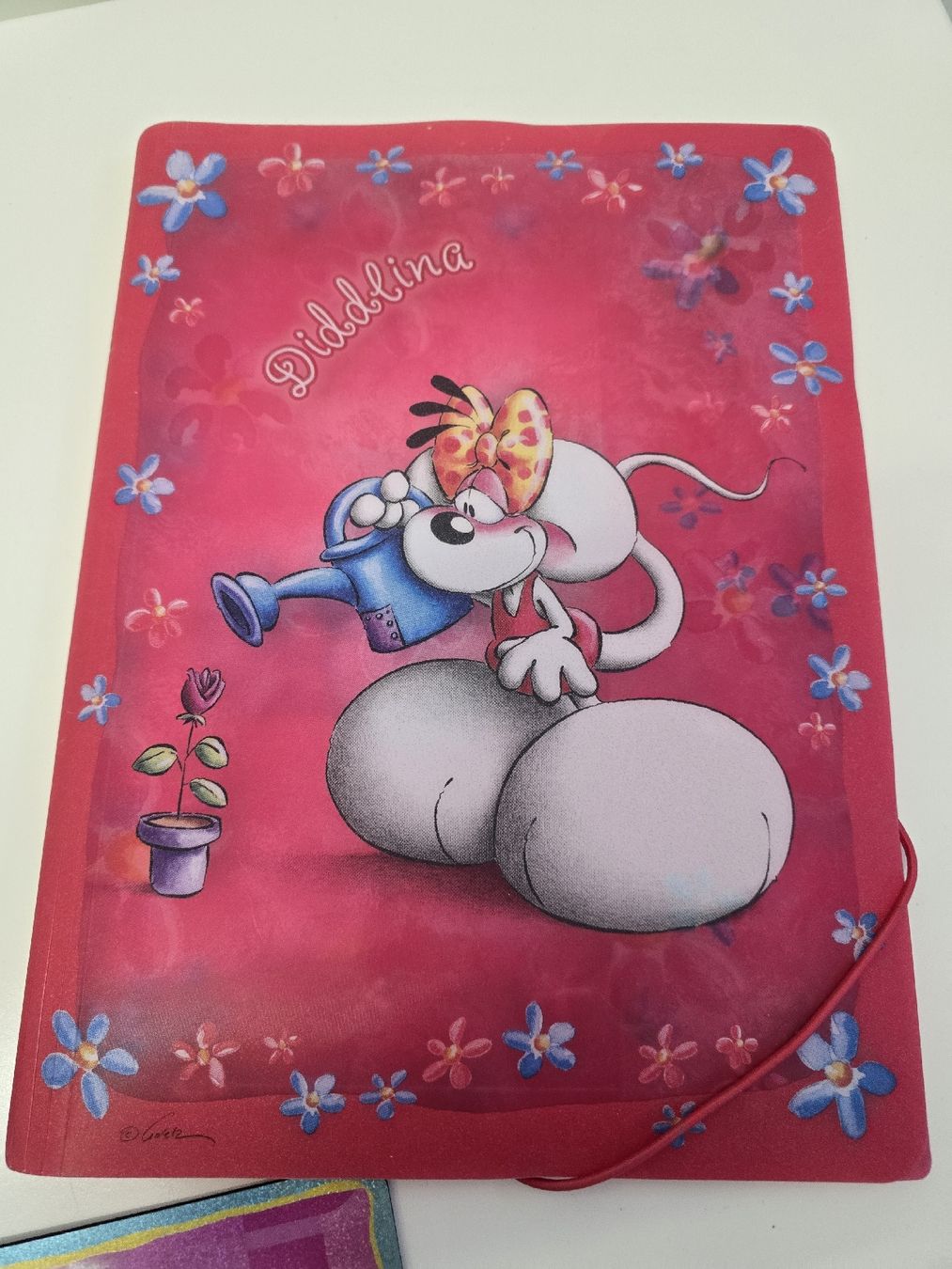 Carte collezionabili: Diddle & Diddlina Sammelalbum – Usato da St. Gallen venduto da CAPYCORP 3
