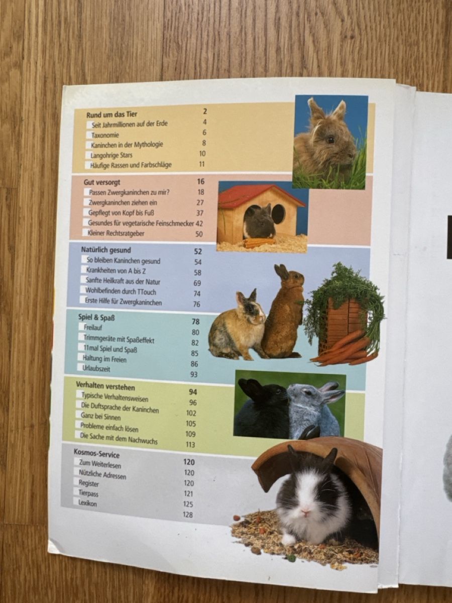 Libri: Buch:Meine Zwergkaninchen – Usato da Riedholz venduto da emm_22qn 2